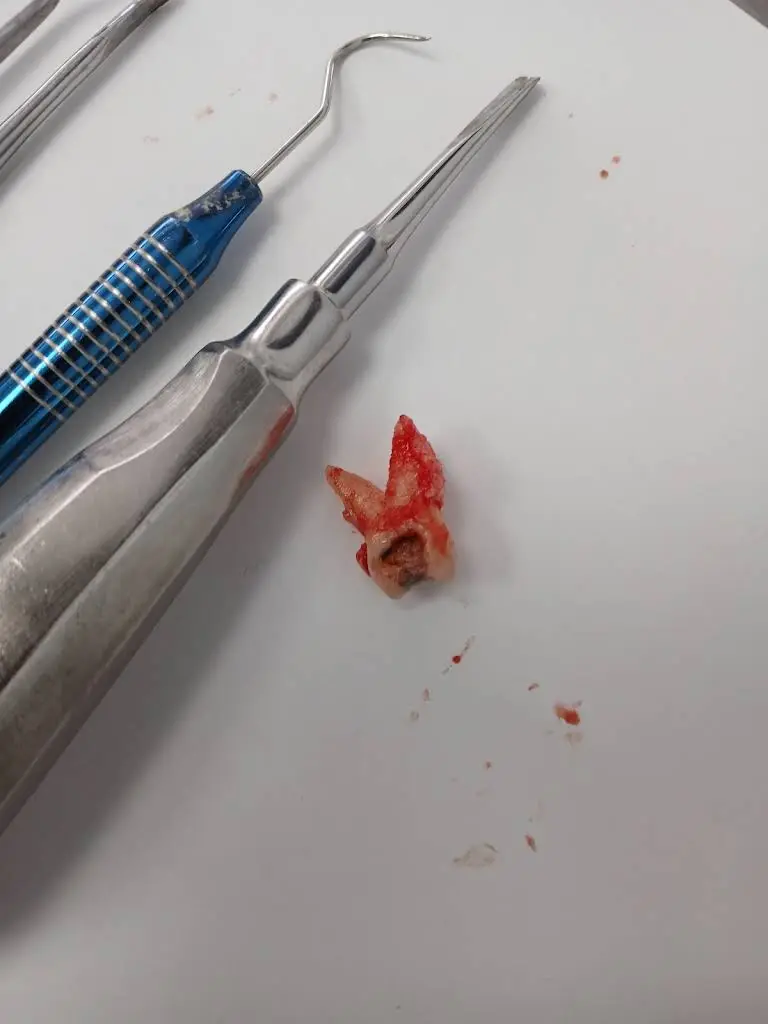 Dental Made Easy