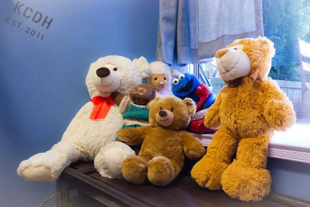 Pediatric Dental Associates PC