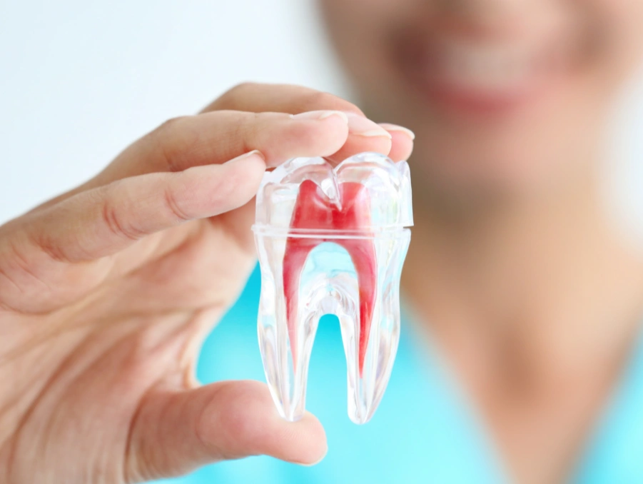 Modern Dentistry