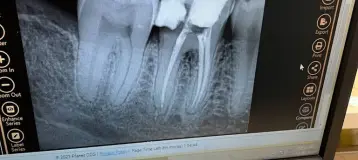 Stellar Dental Care