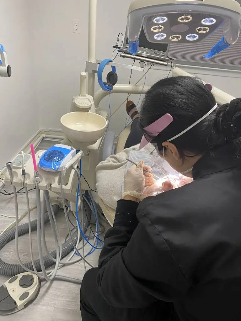 A&M Dental Studio - Amanda Ouzer, DMD