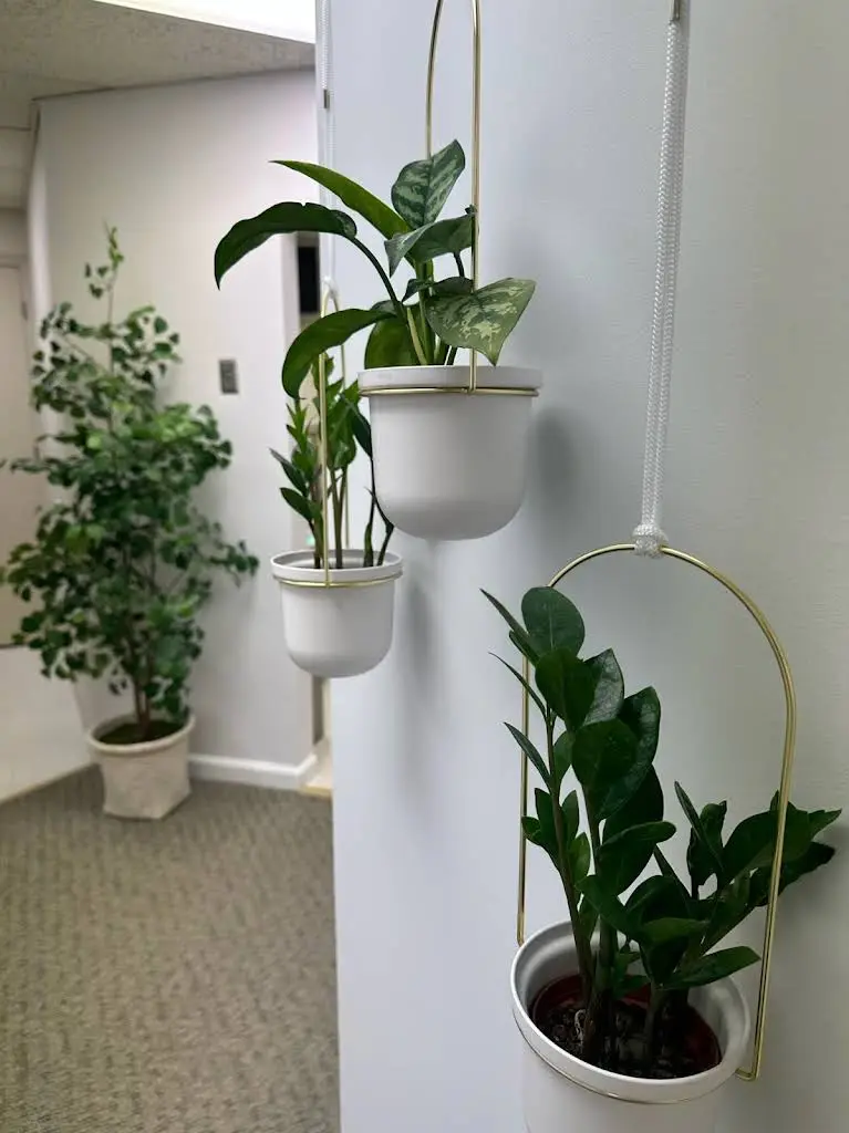 Florham Park Smile Lounge