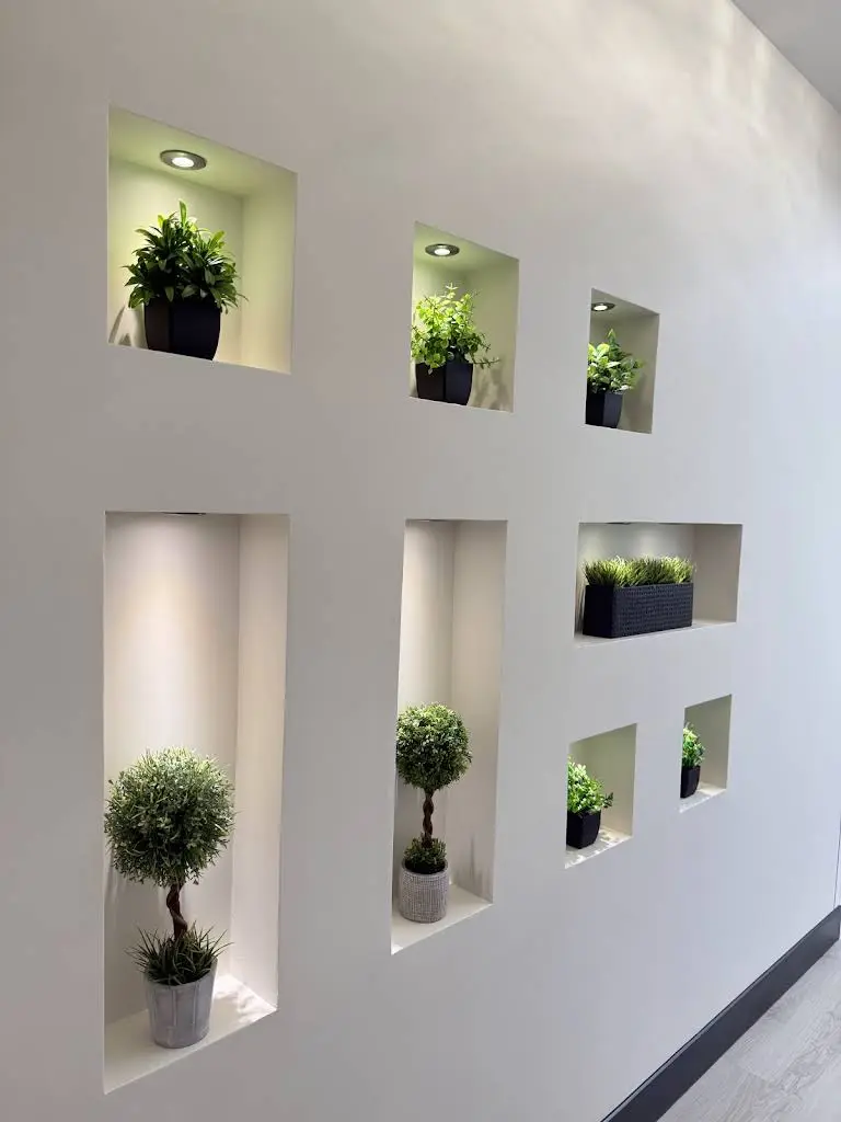 Yang Orthodontics
