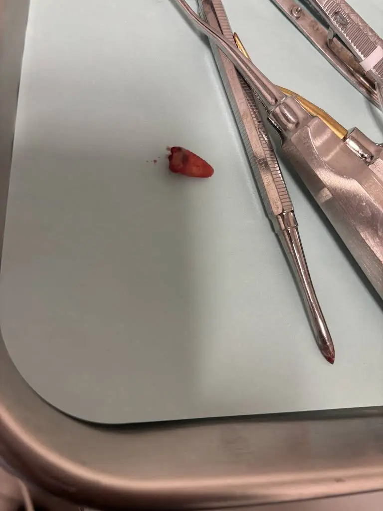 The Smilist Dental