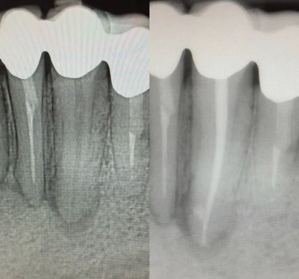 Smile By Design Dentistry, P.C.