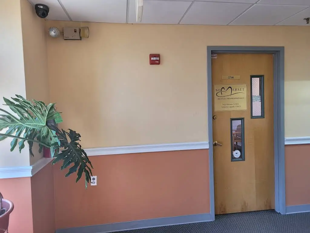 Somerset Dental Professionals LLC