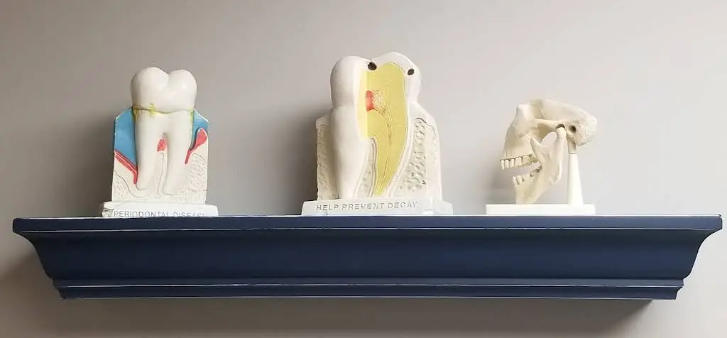 Central Jersey Dental Arts
