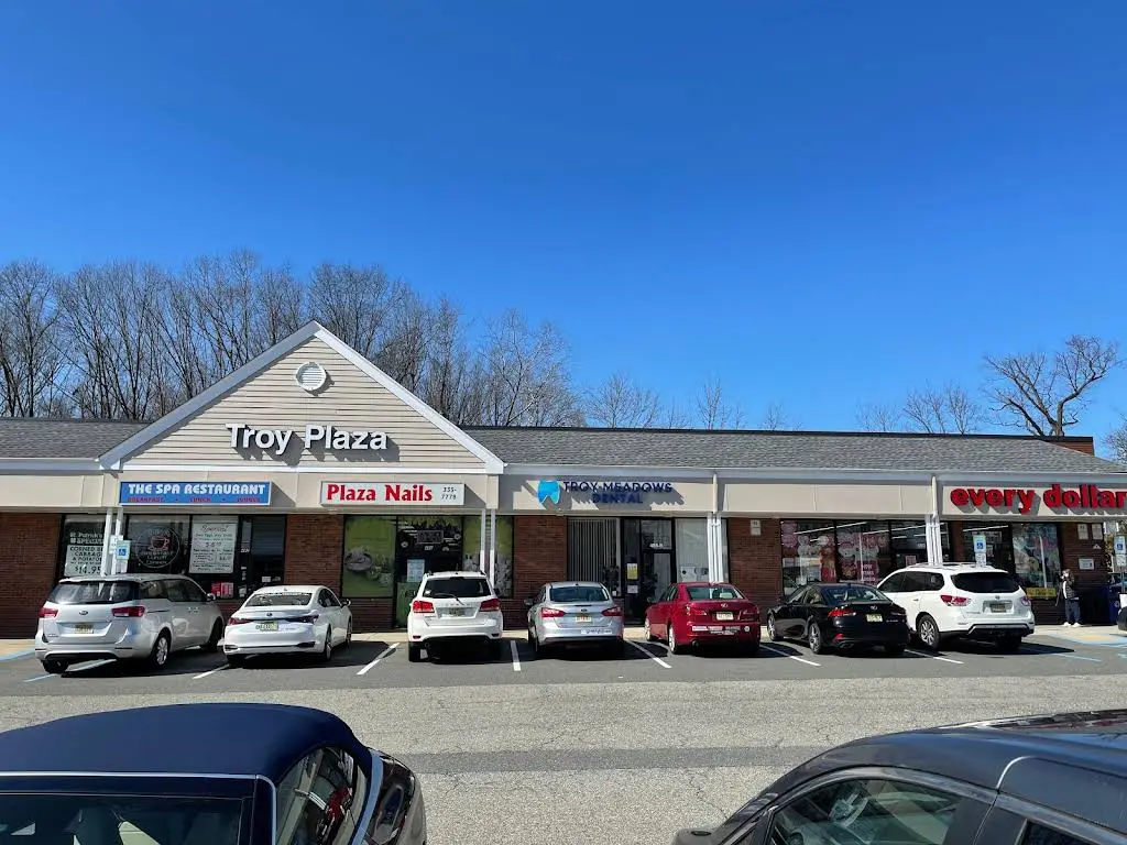 Troy Meadows Dental