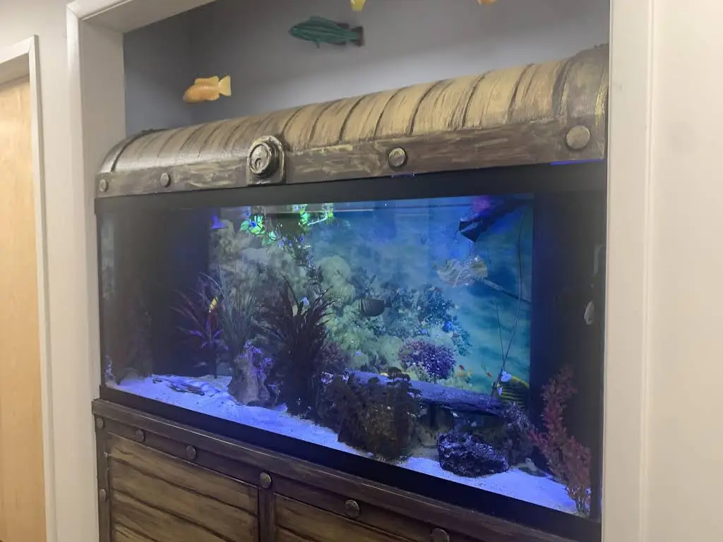 Westfield Pediatric Dental Group