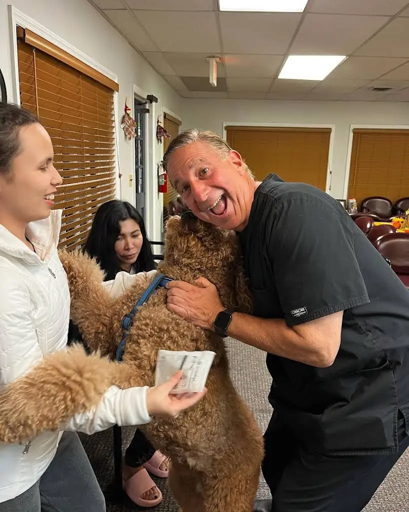 Brunswick Valley Orthodontics