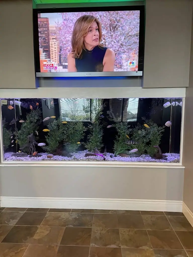 Cosmopolitan Dental, LLC