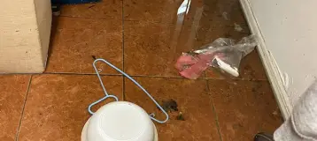 Best Dental Associates