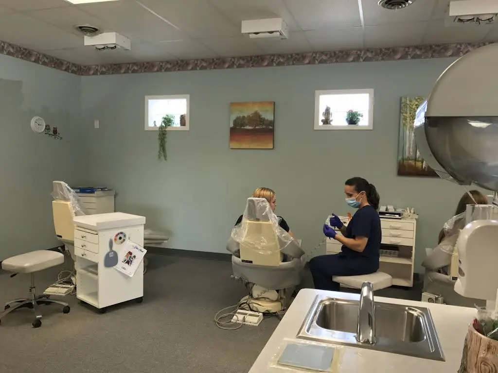 Owl Orthodontics