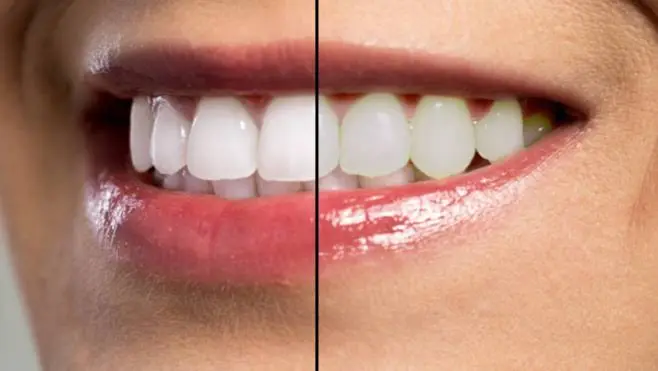 Zen Dental
