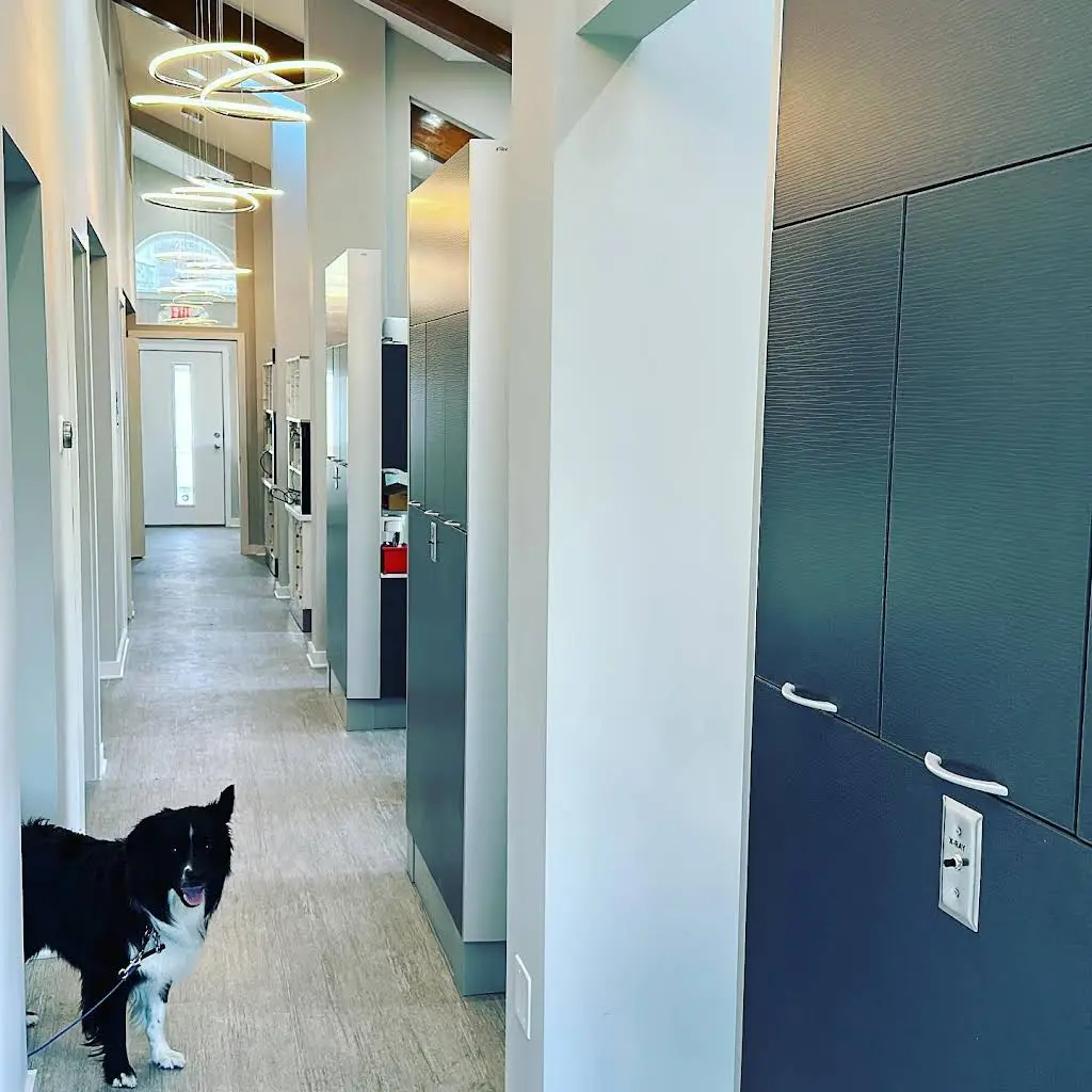 Mountainside Family Dental