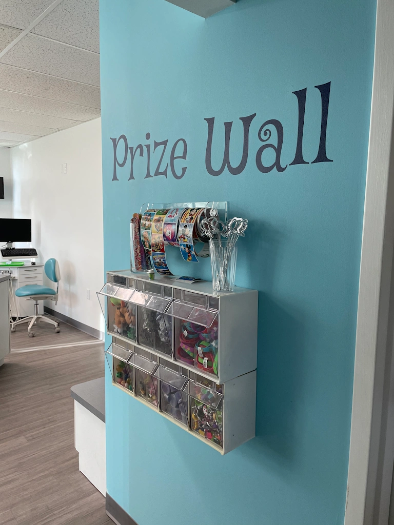 Dentistry for Kids, Amy Waxman DMD & Lisa Honig, DDS