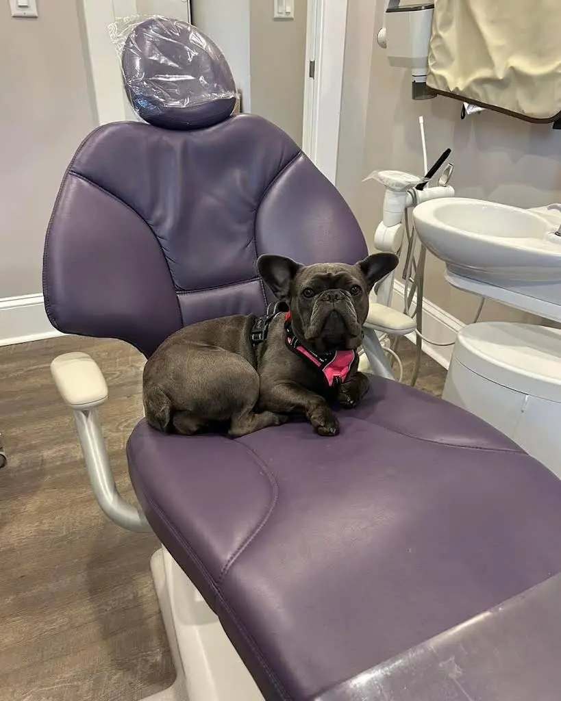 Stacy E. Oberfield General Dentistry