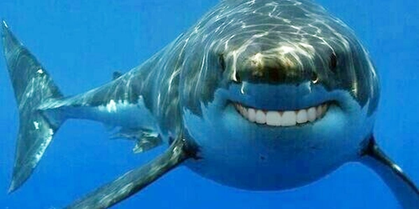 Gorkowitz Orthodontics