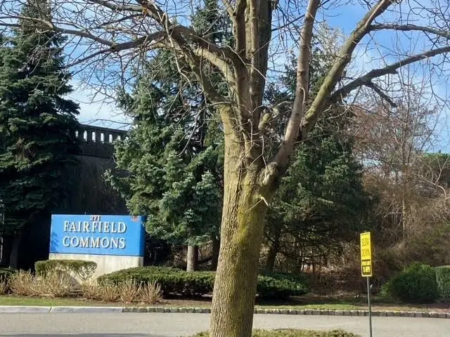 A to Z Family Dentistry, PC