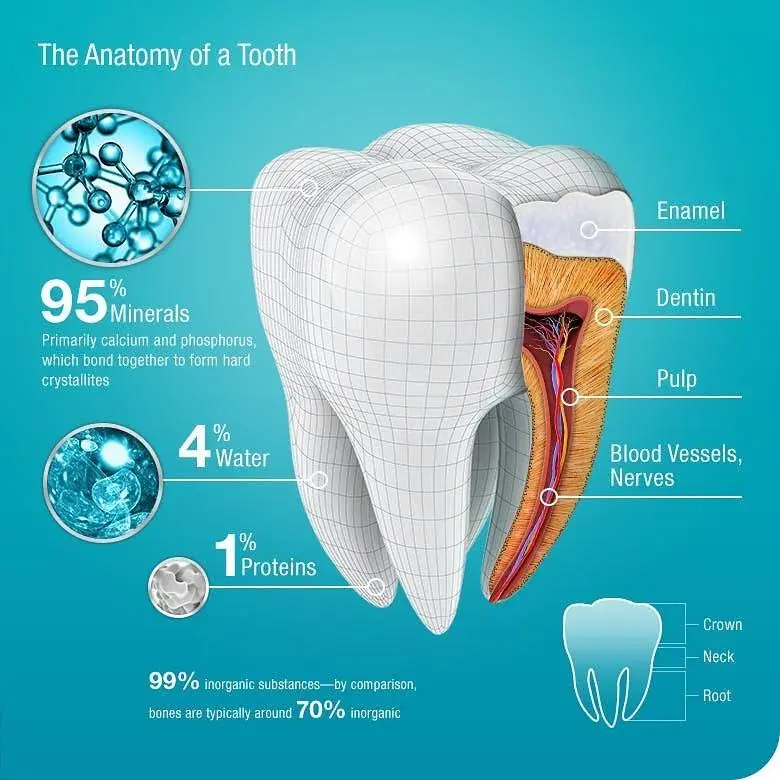 Dorfner Dental Studio