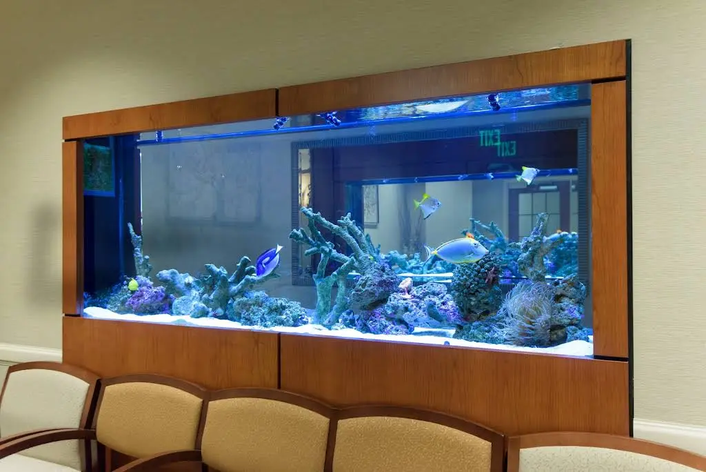 Fiorentini Family Dentistry