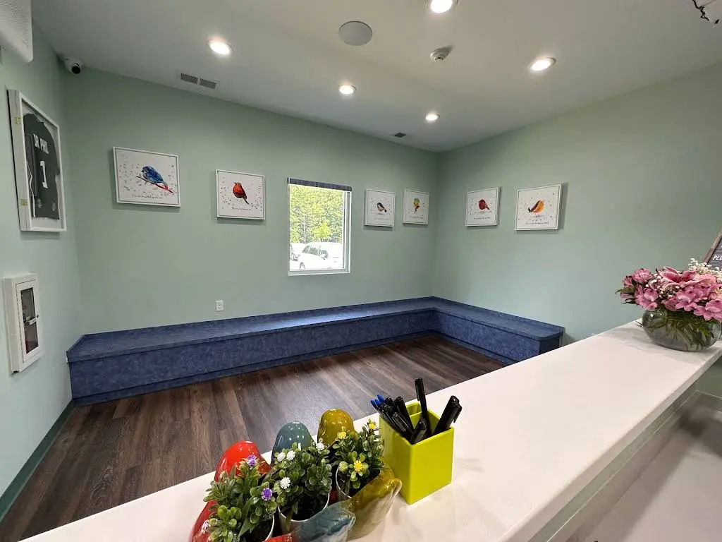 Three Little Birds Pediatric Dentistry