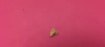 Jiannian Dental
