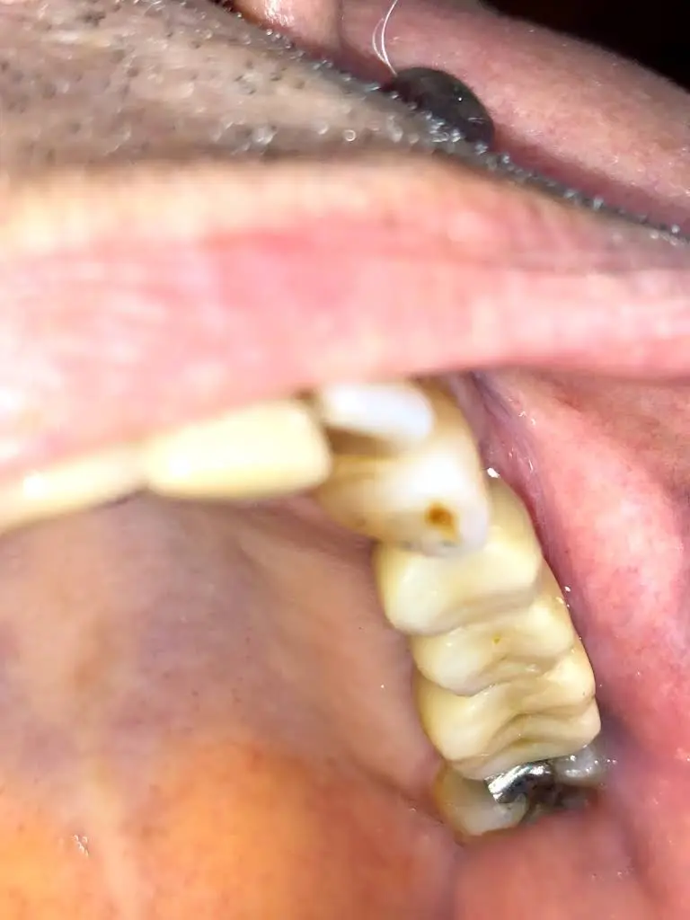 New Wave Dentistry