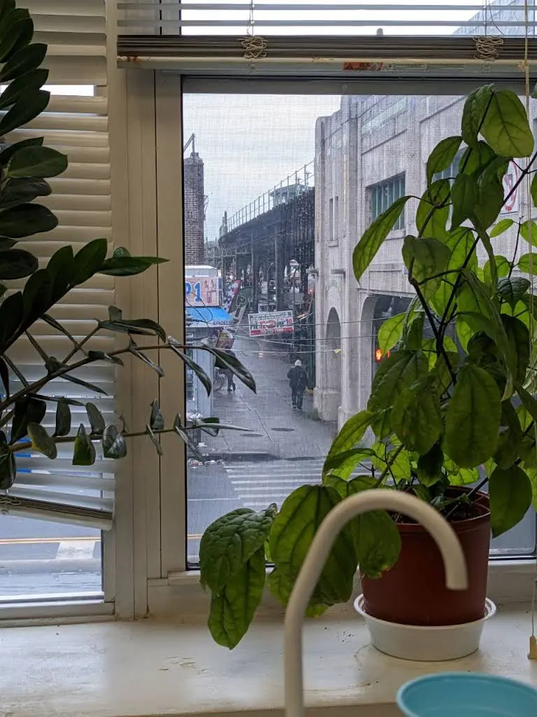 Jane Yang Dental, P.C. - Professional dental clinic exterior with modern facilities