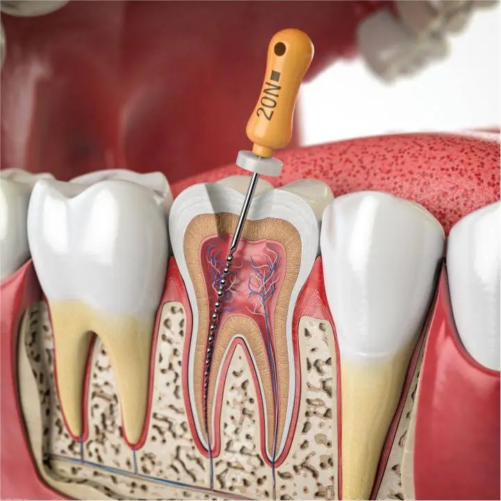 IM Dentistry