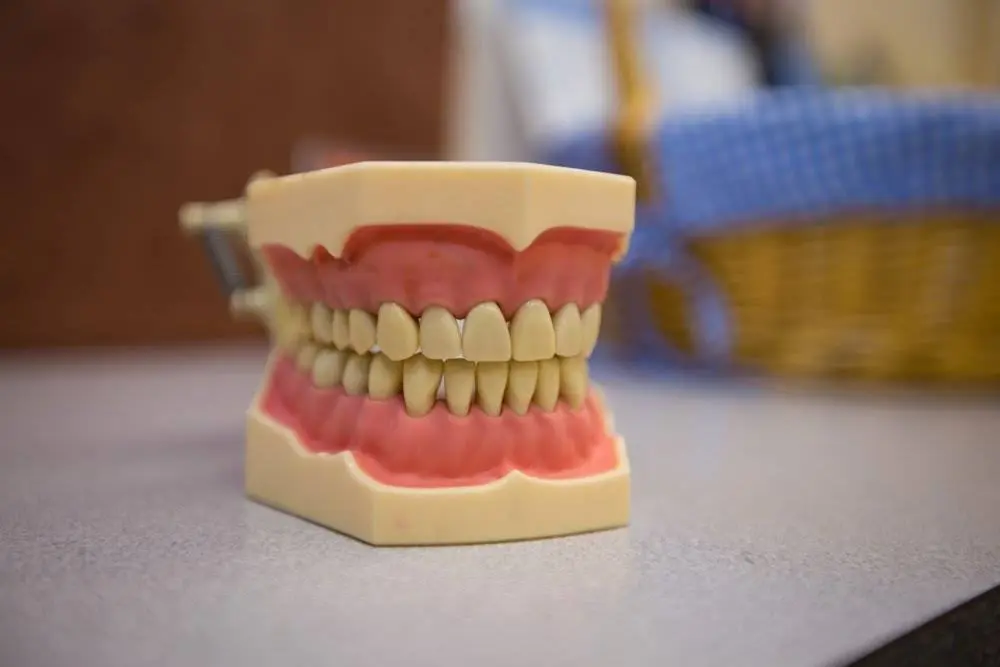 Mondovi Dental