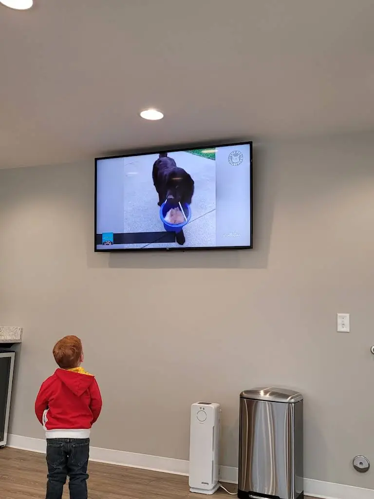 Westampton Dental