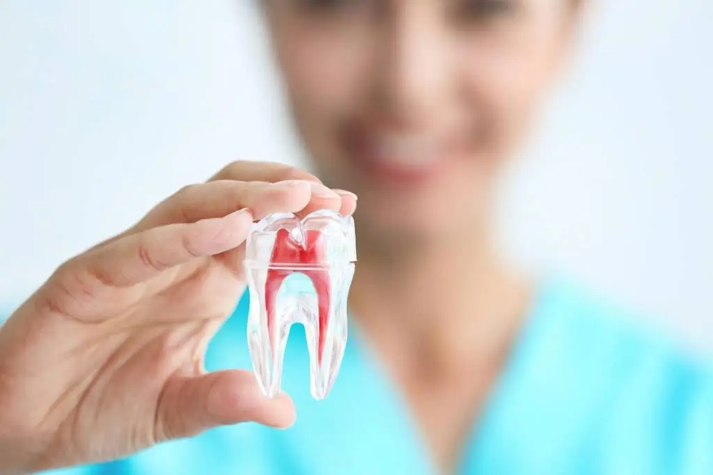 Best Family Smile - Professional dental clinic exterior with modern facilities
