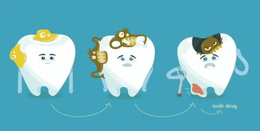 Share Dental Care, LLC