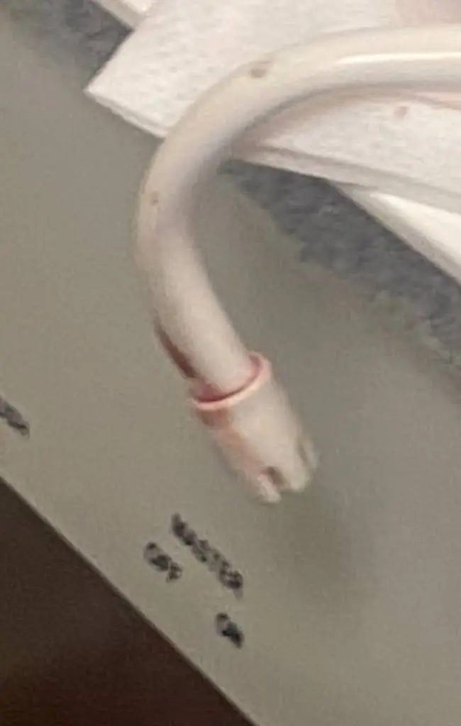 North Brooklyn Dental Care