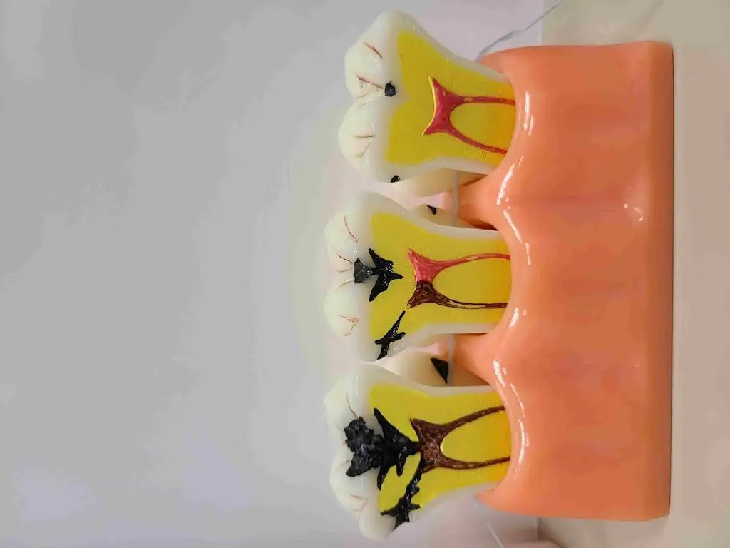 Maspeth USmiles Dental Care
