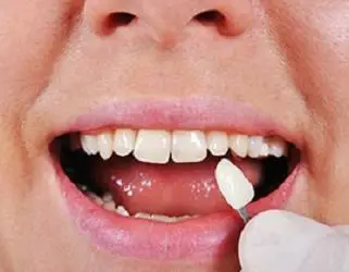 Maspeth Dental - HL