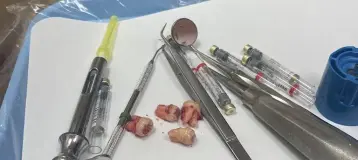 Jamaica Queens Dental