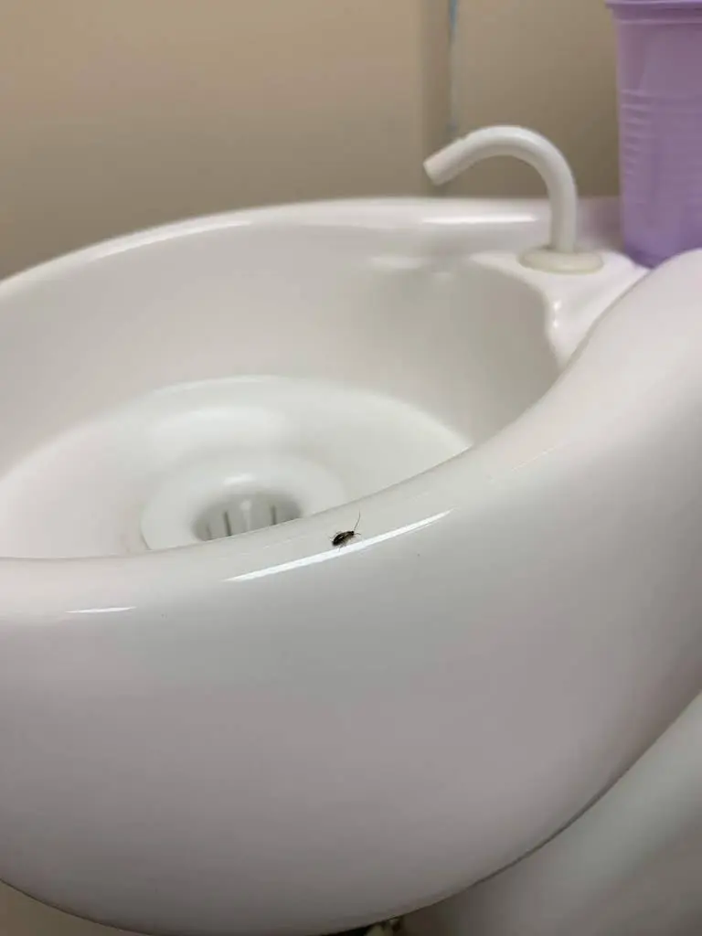 East Village Dental PC