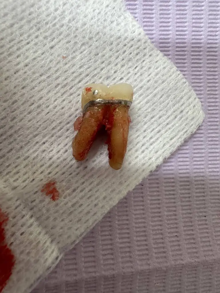 Eastern Dental