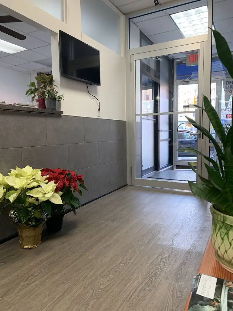 Newtown Smile Dental