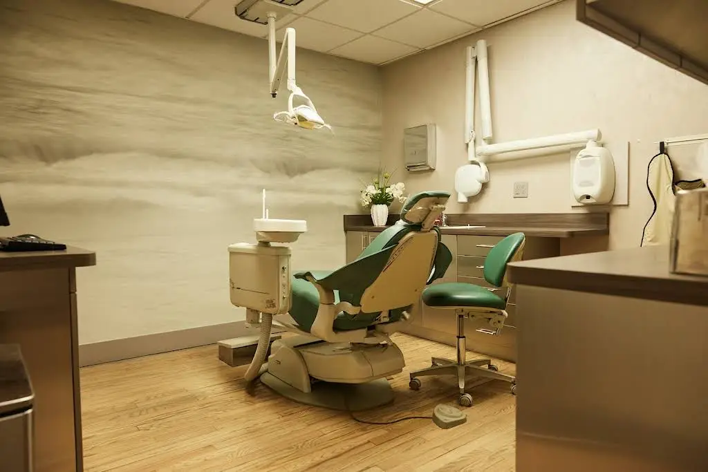 Holistic Dentists