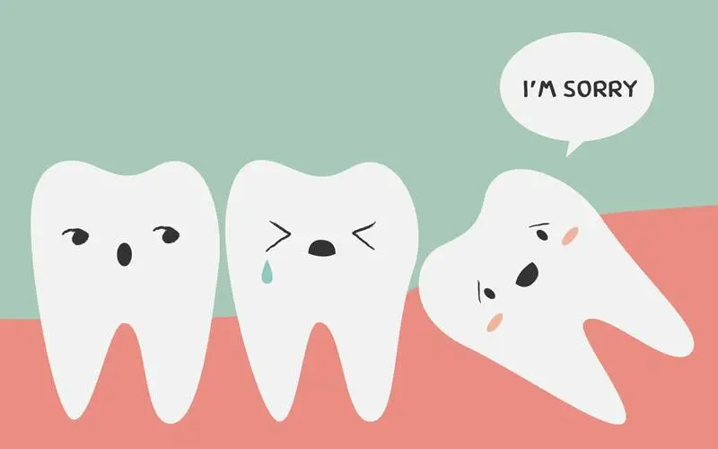 Carter Orthodontics