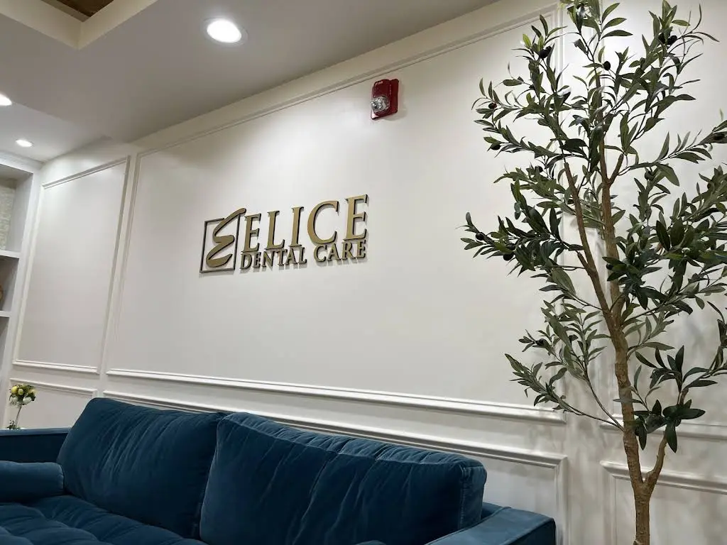 Elice Dental Care