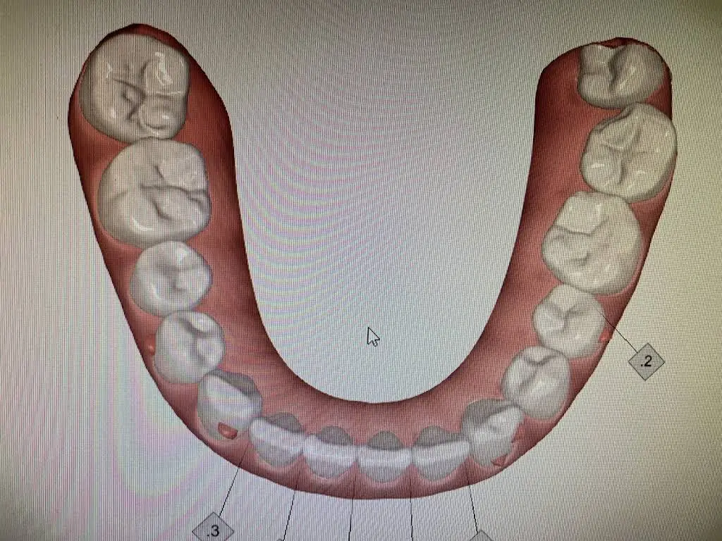 GP Dental