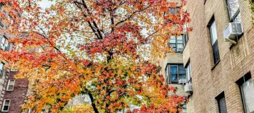 Elmhurst Dental Care