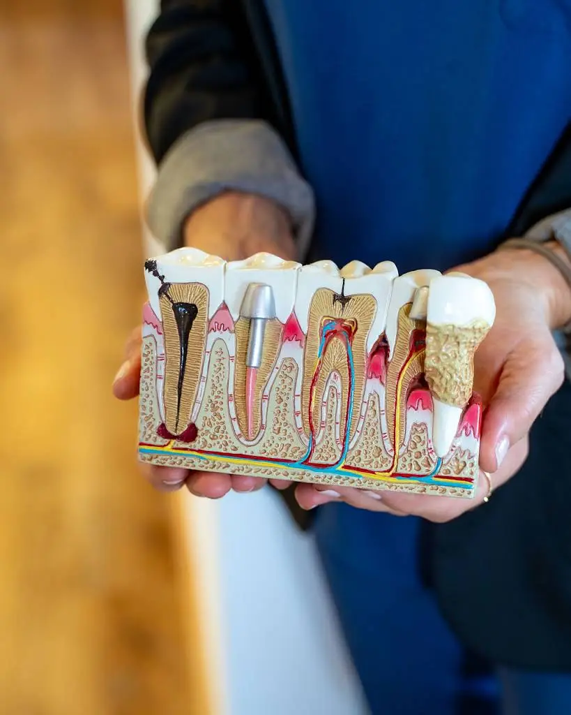 Smyle Haus General and Cosmetic Dentistry of Red Bank