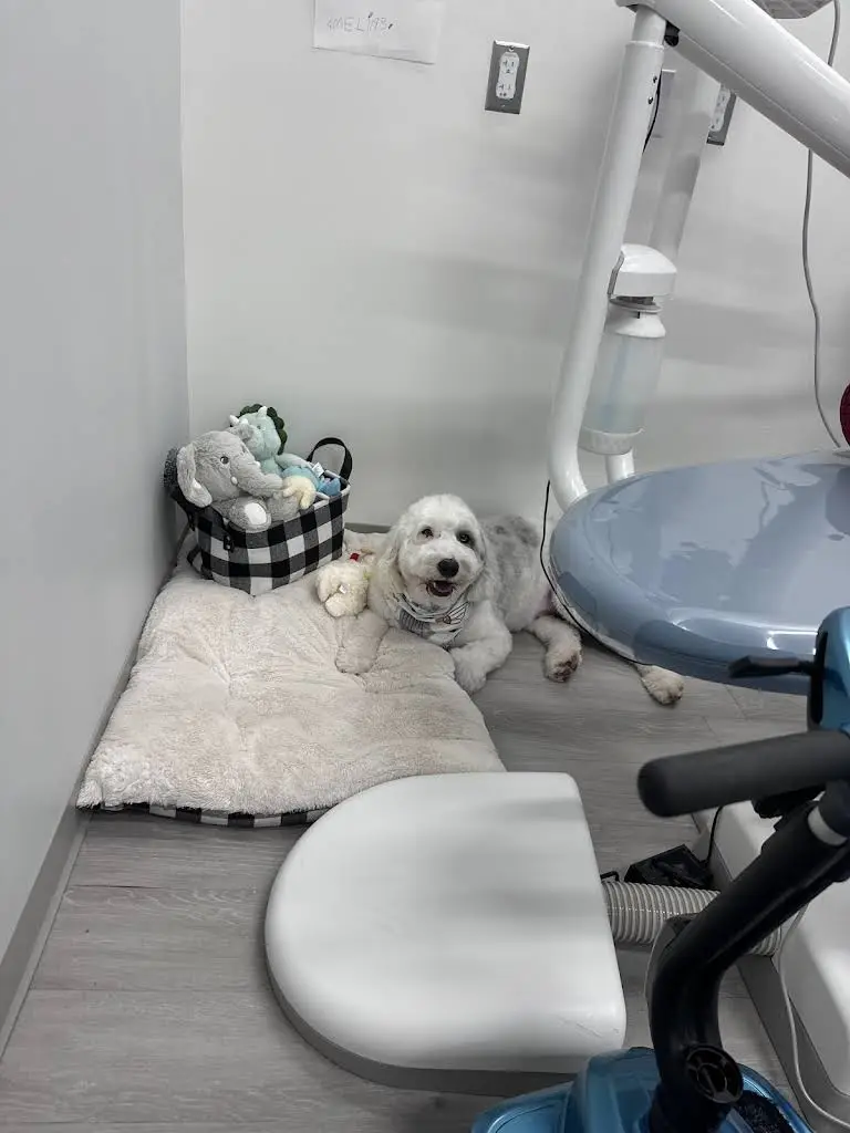 Acorn Pediatric Dental