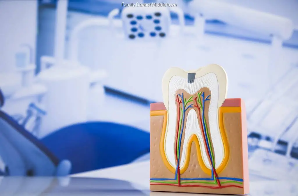 Rockwell Dentistry