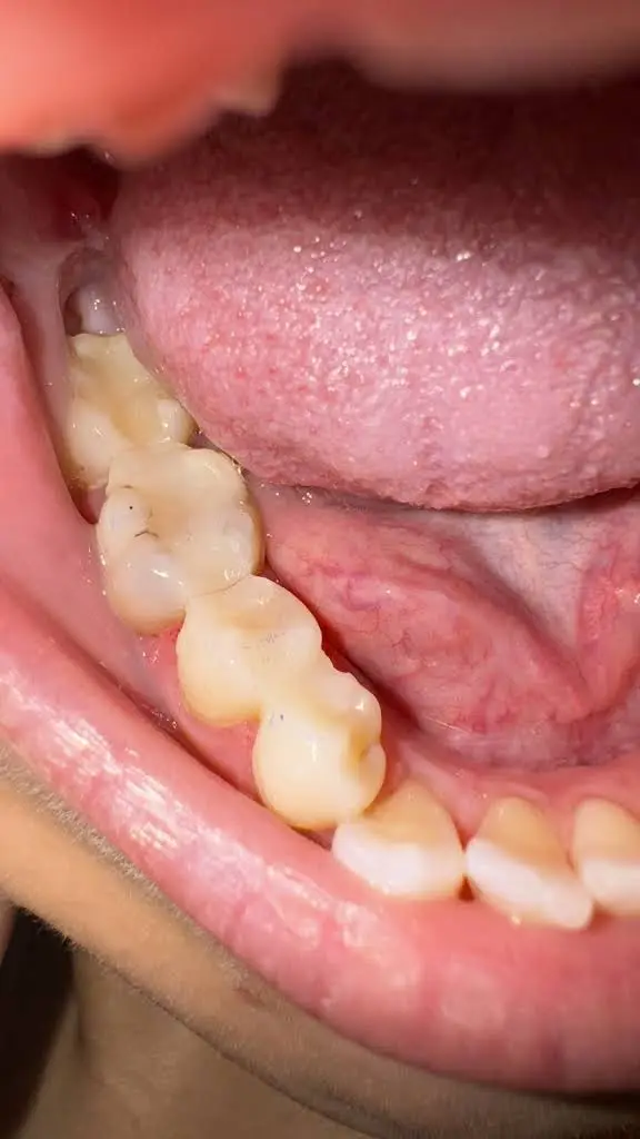 212 Dental Care